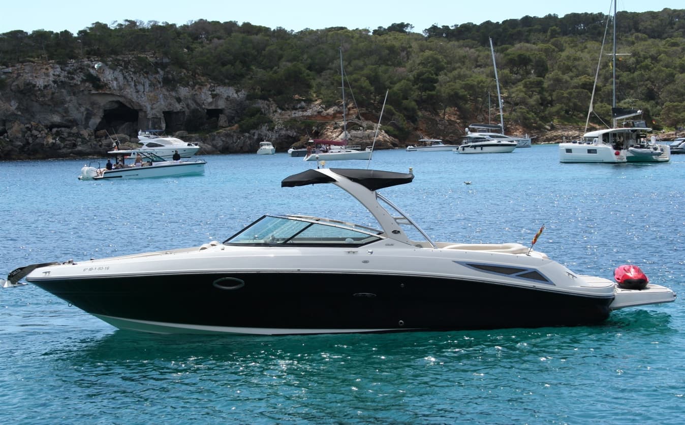 SEA  RAY 300